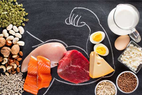 protein food