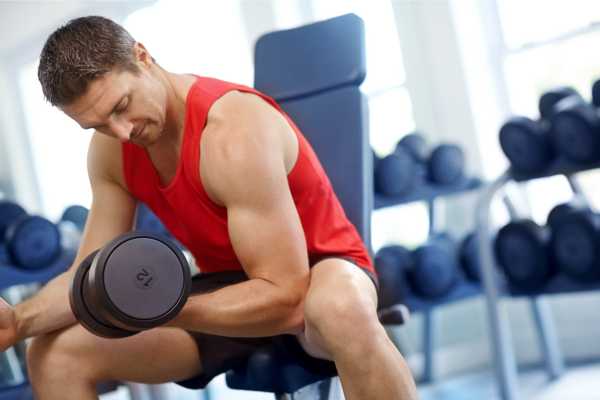 Strategi Makanan Bulking untuk Pembentukan Massa Otot - hero