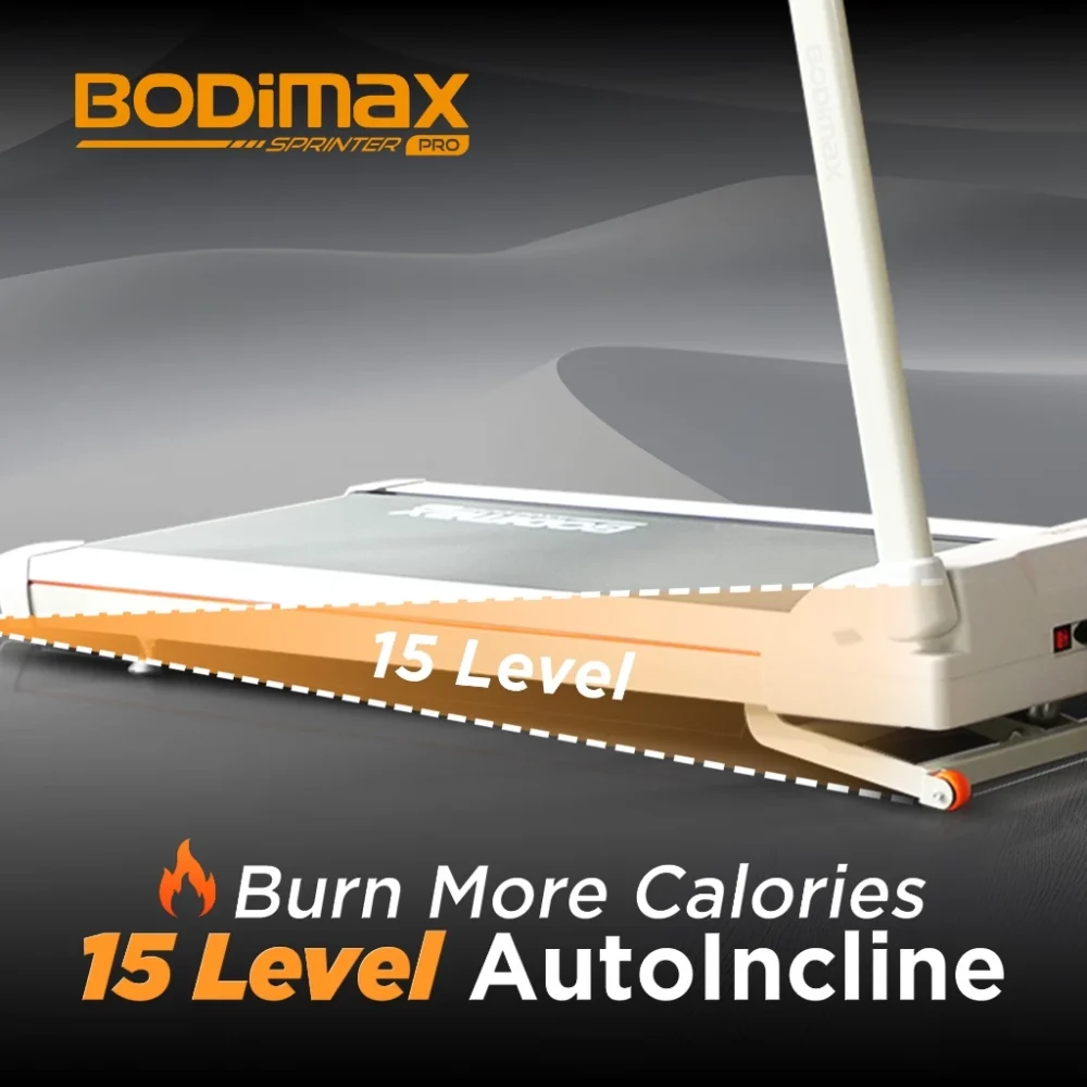 id-11134207-81ztj-mfhqhokcmbke56