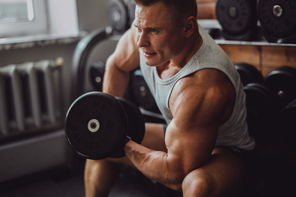 steroid adalah