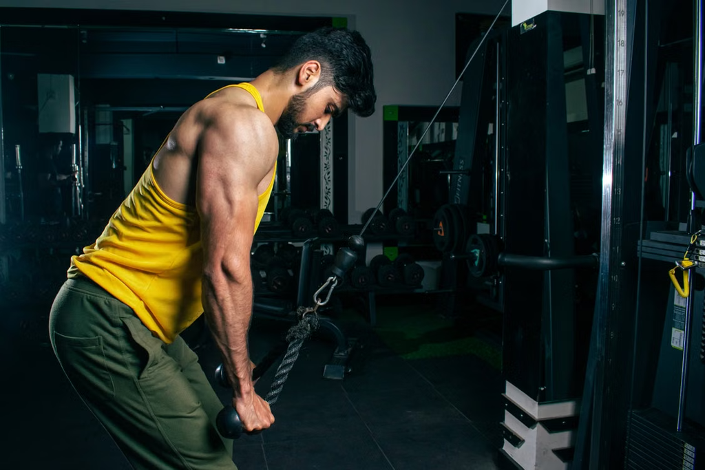 deltoid
