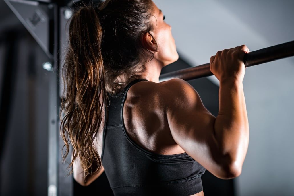 alat gym untuk back